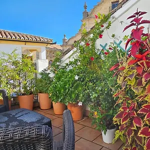 Apartamento Descalzos ángel, Ronda
